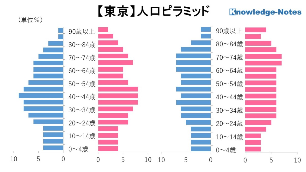 東京都地域分析 人口ピラミッド